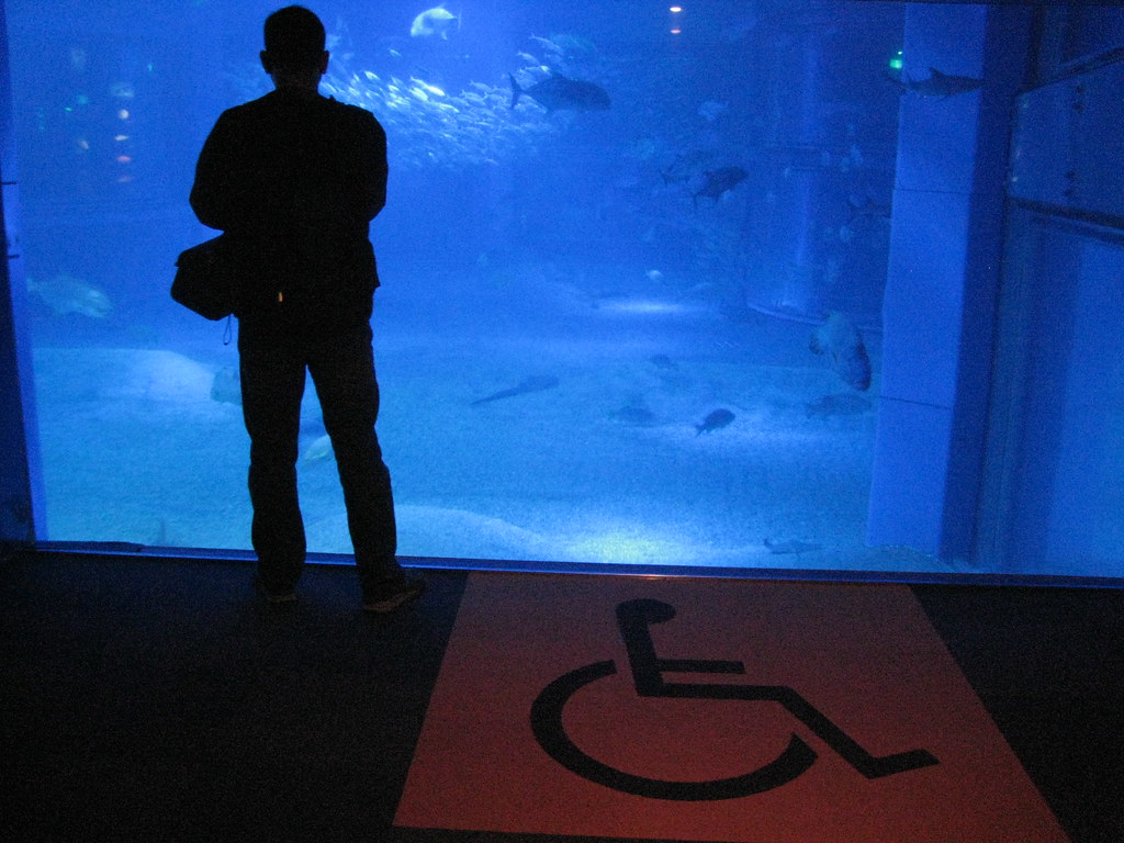 Handicap Viewing Area
