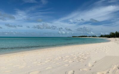 Navarre Beach Park: A Coastal Haven for Recreation and Relaxation