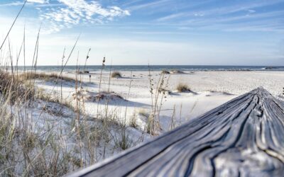 Shopping And Dining At Navarre Beach Marine Park