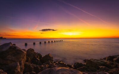 Navarre Beach Marine Science Station