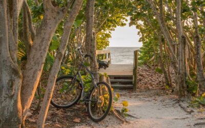 Navarre Beach Marine Science Station: Exploring Coastal Ecosystems