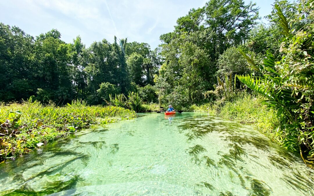 Get Up Close To Nature At Navarre Marsh Preserve