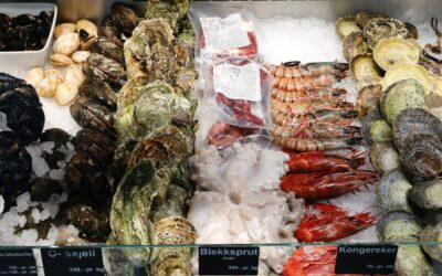 Navarre Seafood Market: Fresh Catches and Ocean Delights