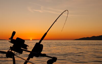 Navarre Beach Fishing Charters: Embark on an Unforgettable Fishing Adventure