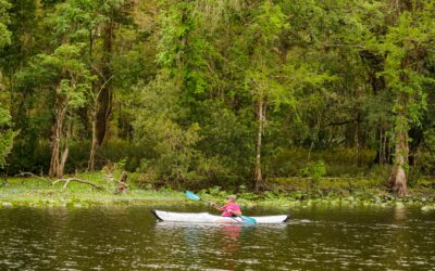 Navarre Beach Kayaking: Explore Coastal Beauty