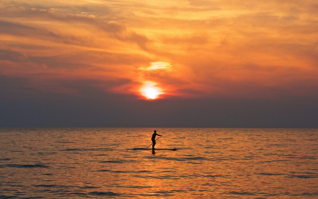 silhouette of person on boat holding paddle during golden hour