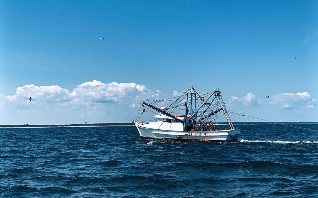 a boat sailing on the sea