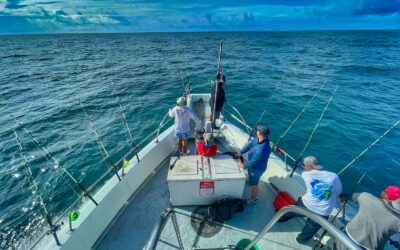 Inshore vs. Offshore Fishing: What to Expect in Navarre