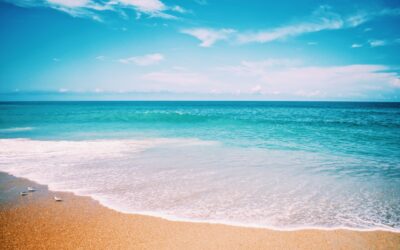 Perdido Key Beachcombing: Collecting Seashell Treasures