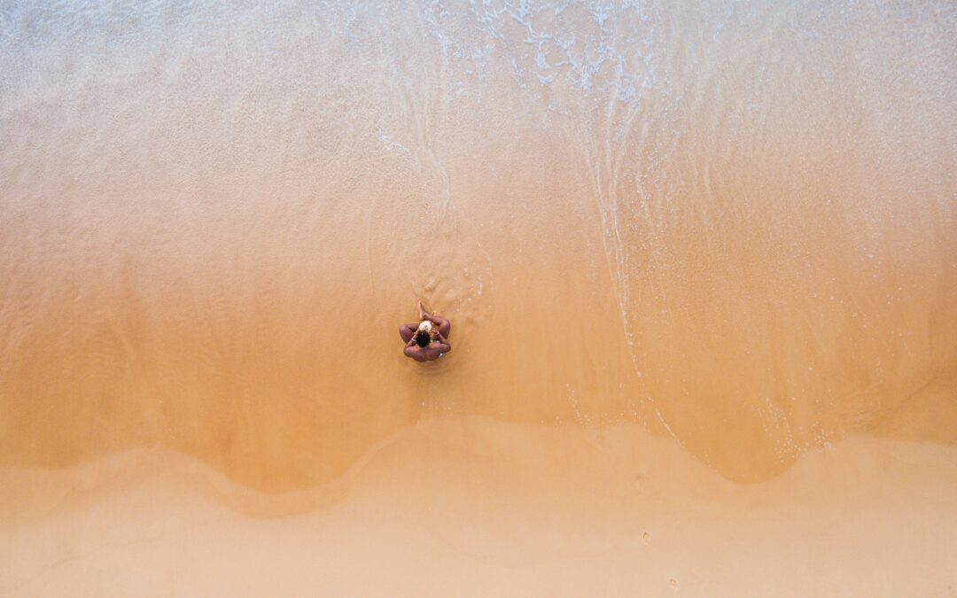 Navarre Beach Marine Park: A Haven for Wildlife