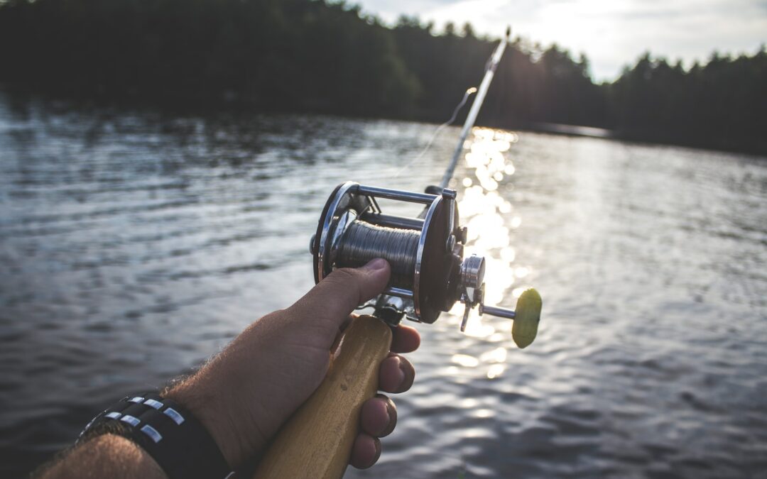 A Beginner’s Guide to Fishing in Navarre Beach